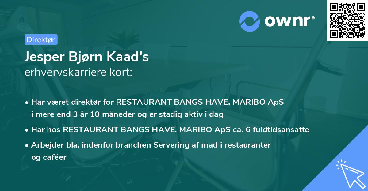 Jesper Bjørn Kaad's erhvervskarriere kort