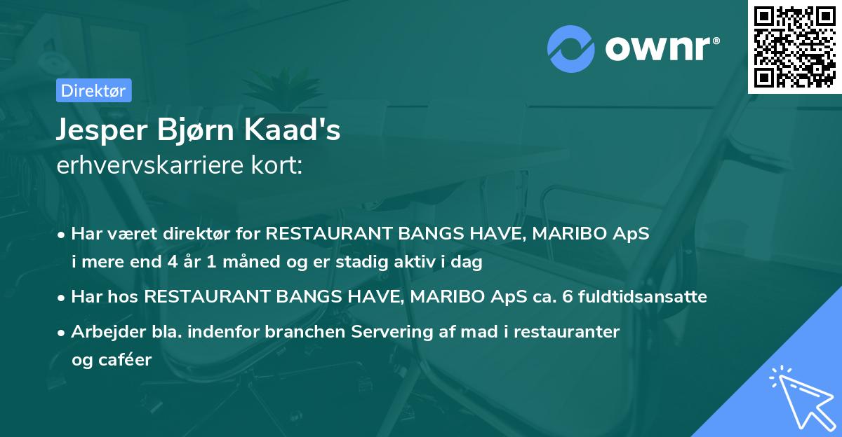 Jesper Bjørn Kaad's erhvervskarriere kort