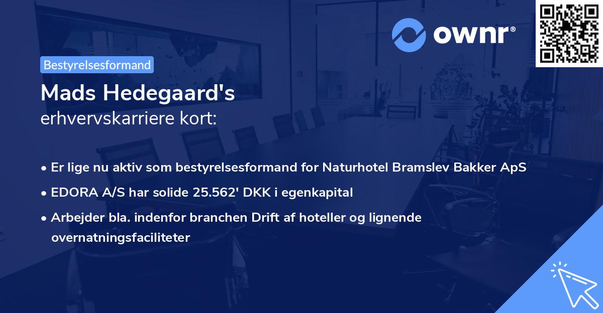 Mads Hedegaard's erhvervskarriere kort