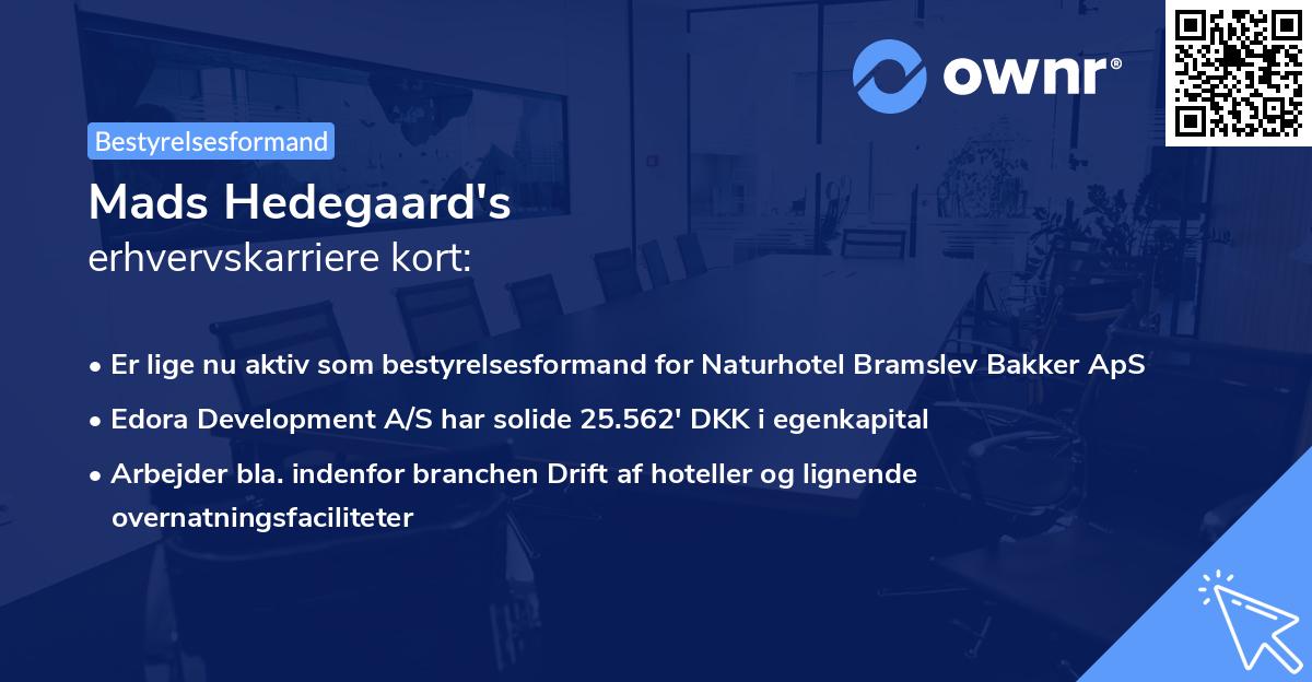Mads Hedegaard's erhvervskarriere kort