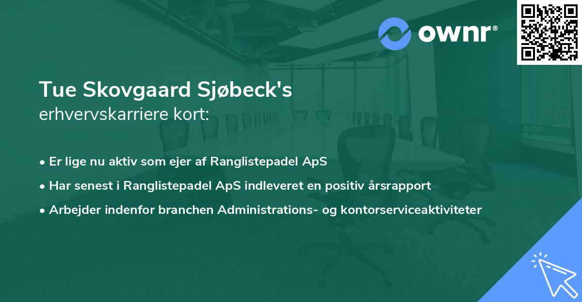 Tue Skovgaard Sjøbeck's erhvervskarriere kort