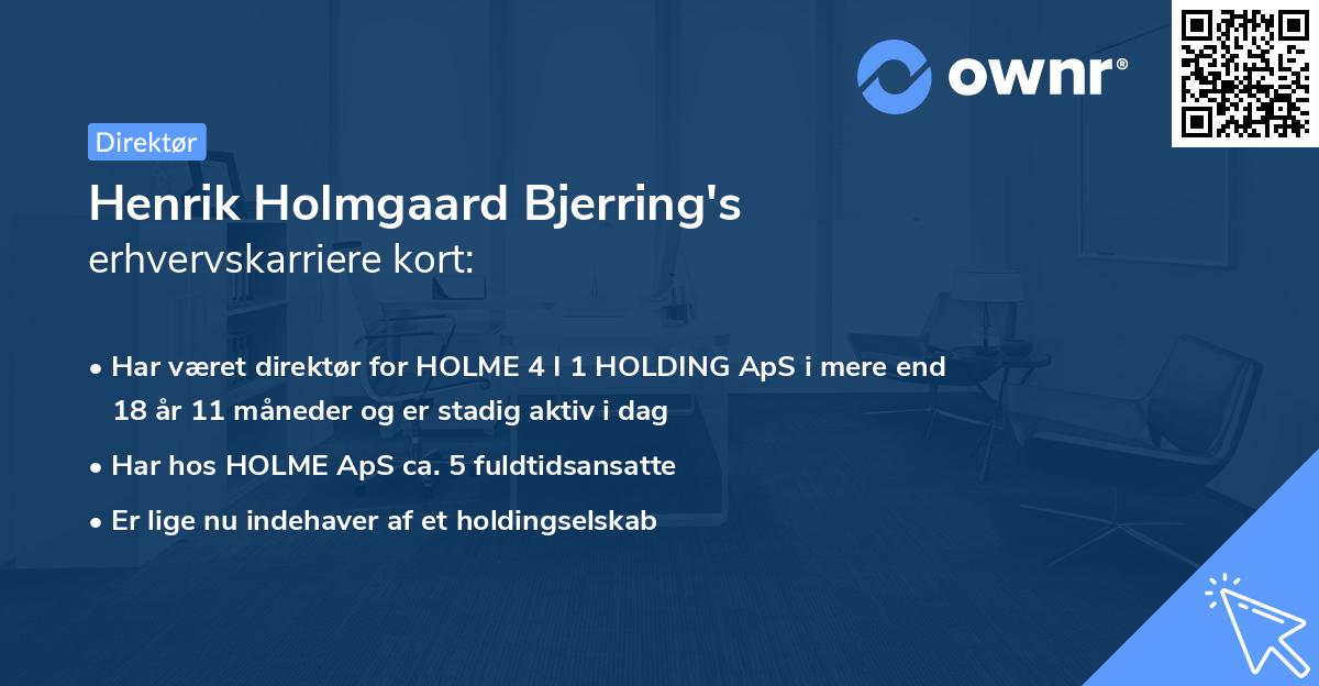 Henrik Holmgaard Bjerring's erhvervskarriere kort