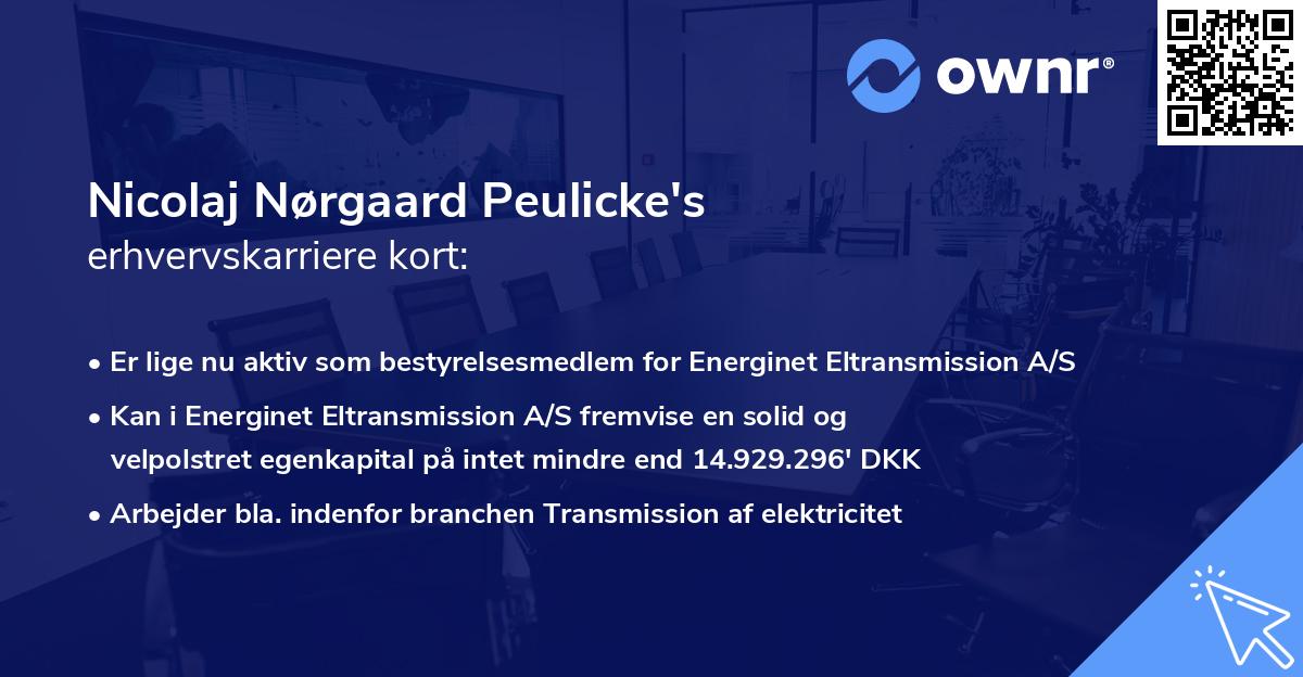 Nicolaj Nørgaard Peulicke's erhvervskarriere kort