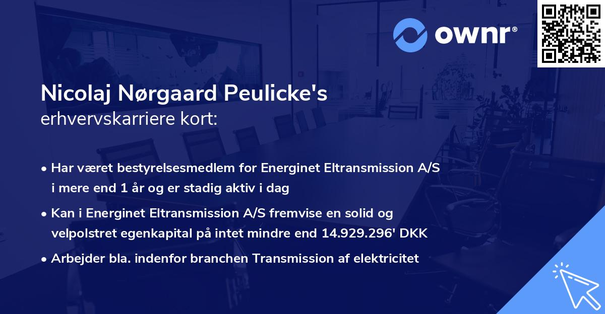 Nicolaj Nørgaard Peulicke's erhvervskarriere kort