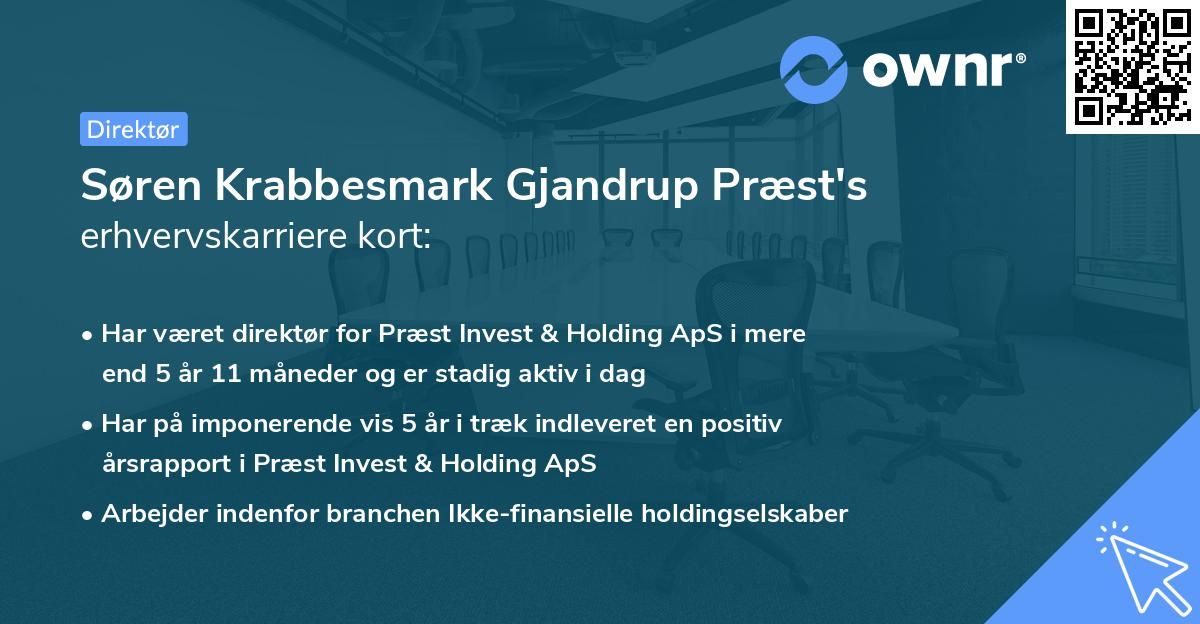 Søren Krabbesmark Gjandrup Præst's erhvervskarriere kort