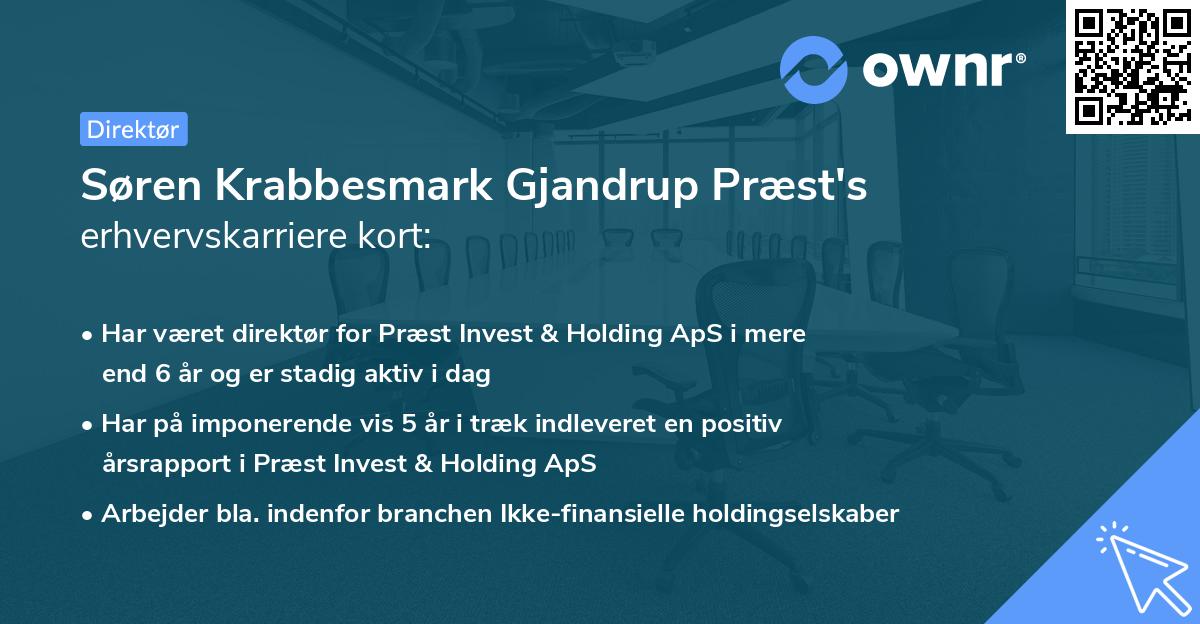 Søren Krabbesmark Gjandrup Præst's erhvervskarriere kort