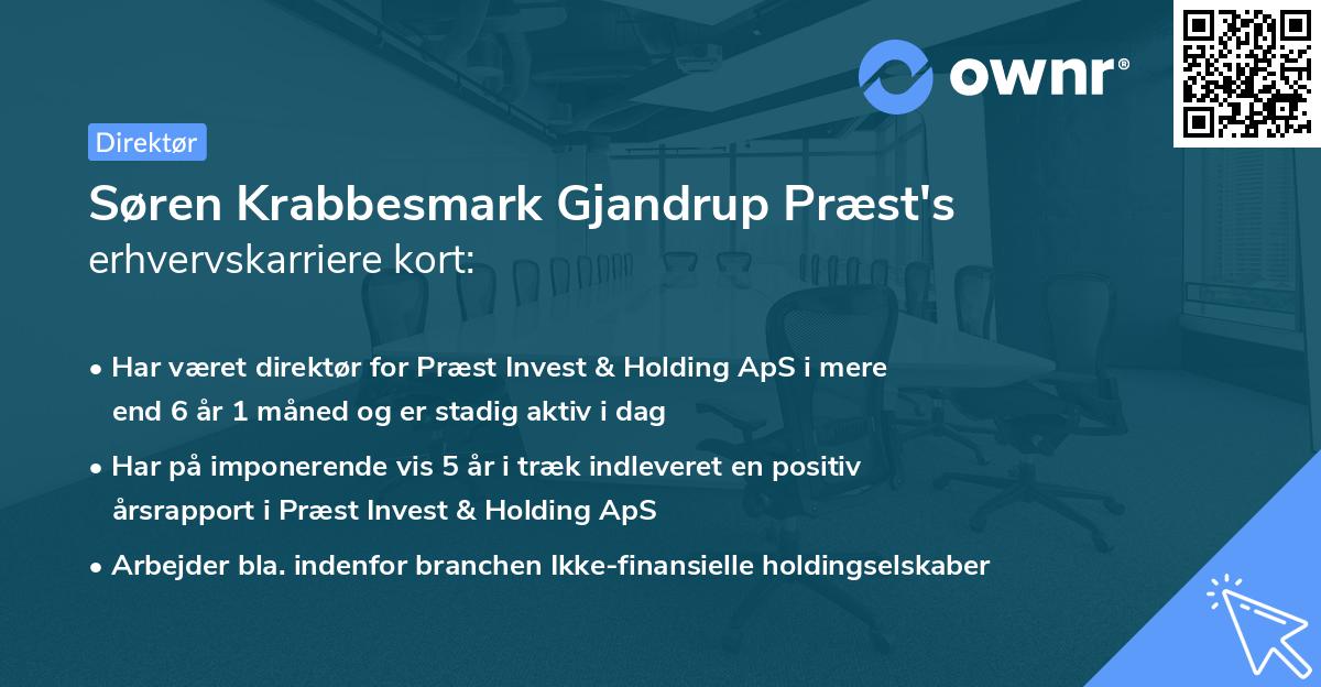 Søren Krabbesmark Gjandrup Præst's erhvervskarriere kort