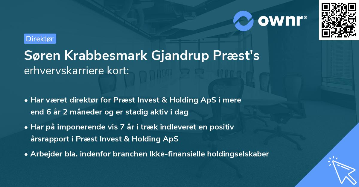 Søren Krabbesmark Gjandrup Præst's erhvervskarriere kort