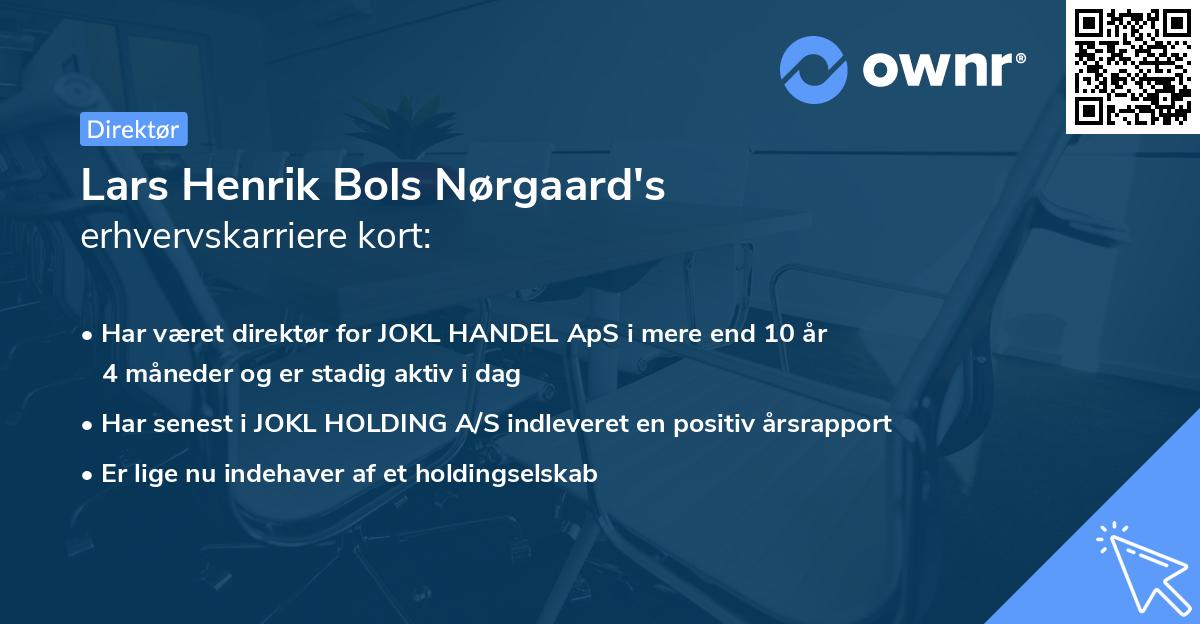 Lars Henrik Bols Nørgaard's erhvervskarriere kort