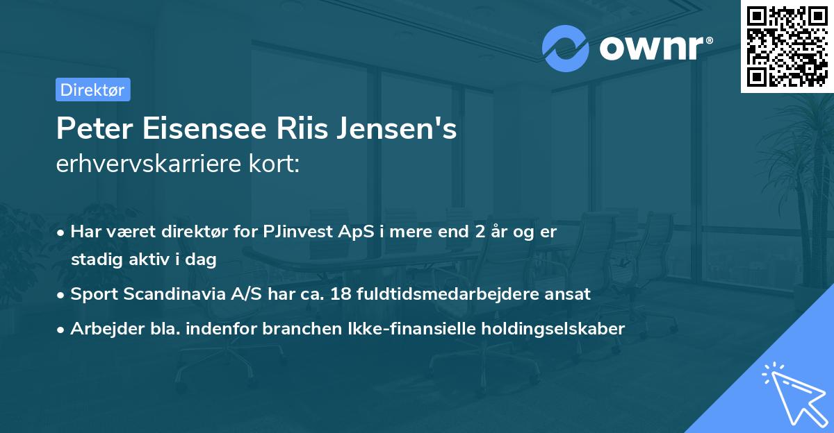 Peter Eisensee Riis Jensen's erhvervskarriere kort