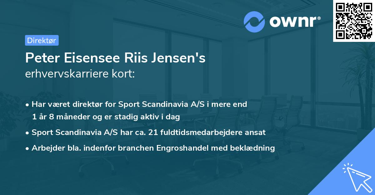Peter Eisensee Riis Jensen's erhvervskarriere kort