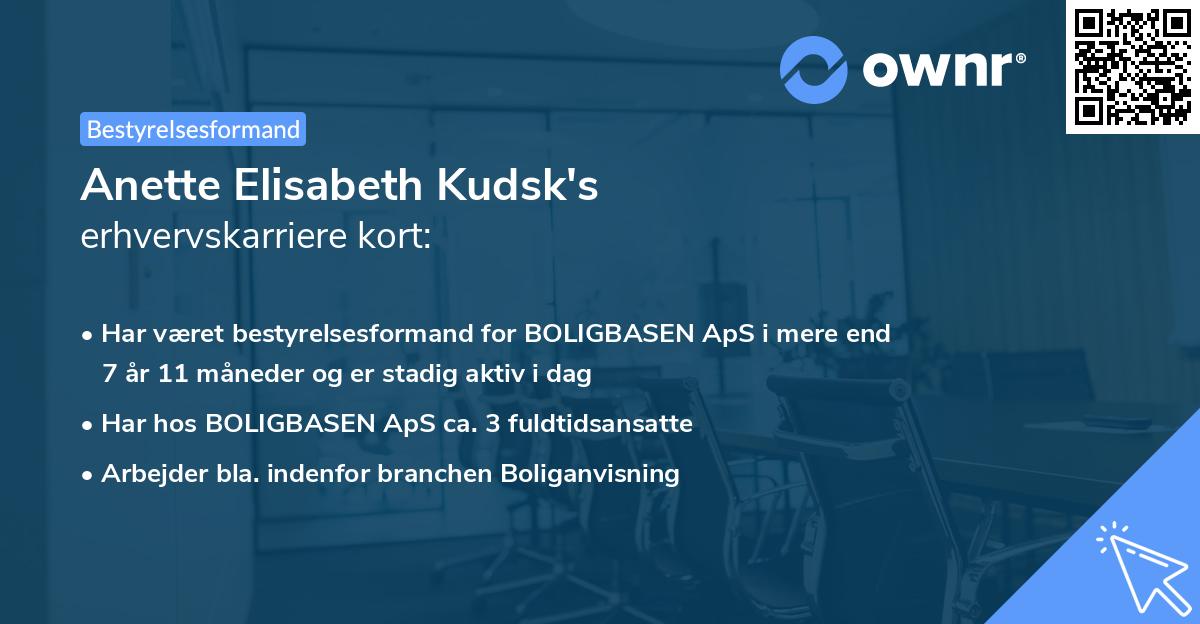 Anette Elisabeth Kudsk's erhvervskarriere kort