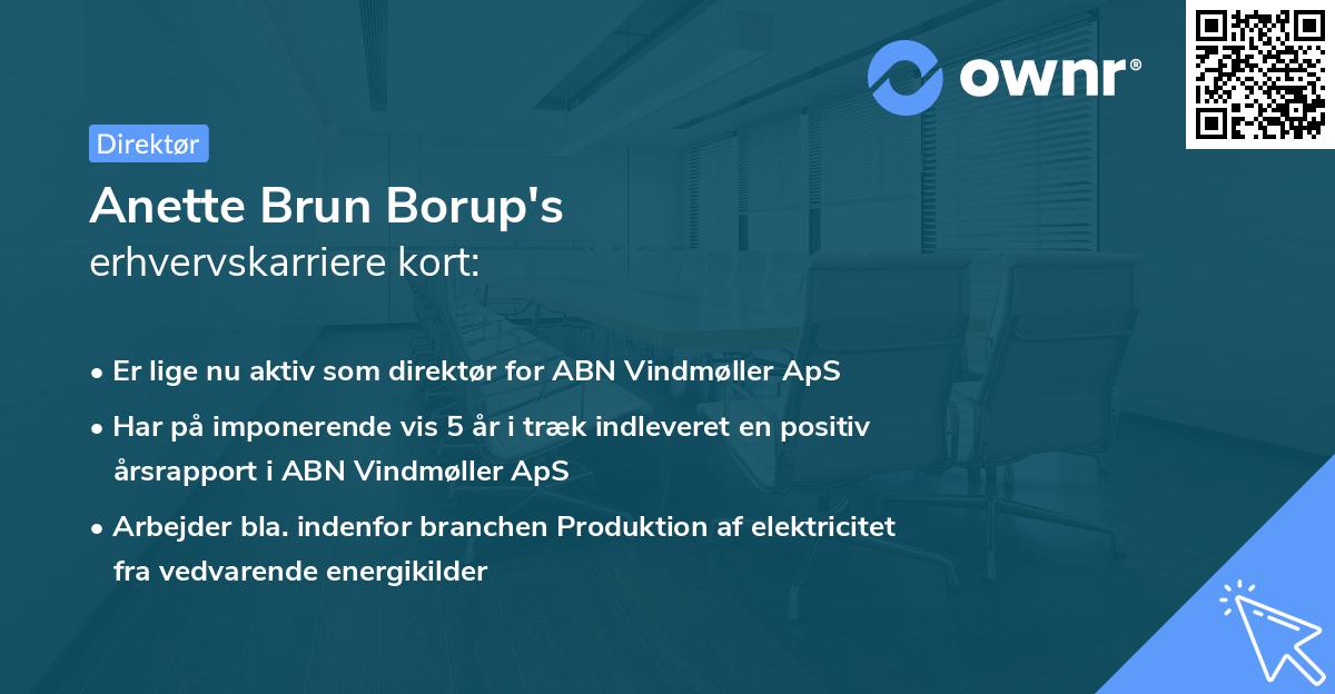 Anette Brun Borup's erhvervskarriere kort