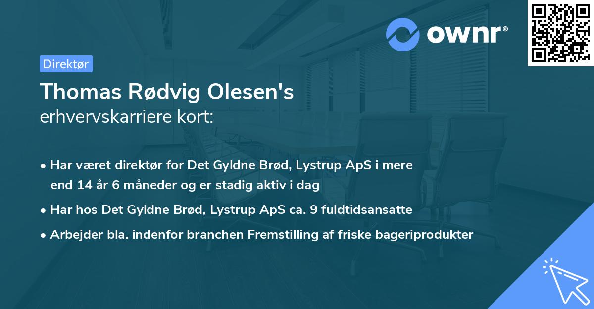 Thomas Rødvig Olesen's erhvervskarriere kort
