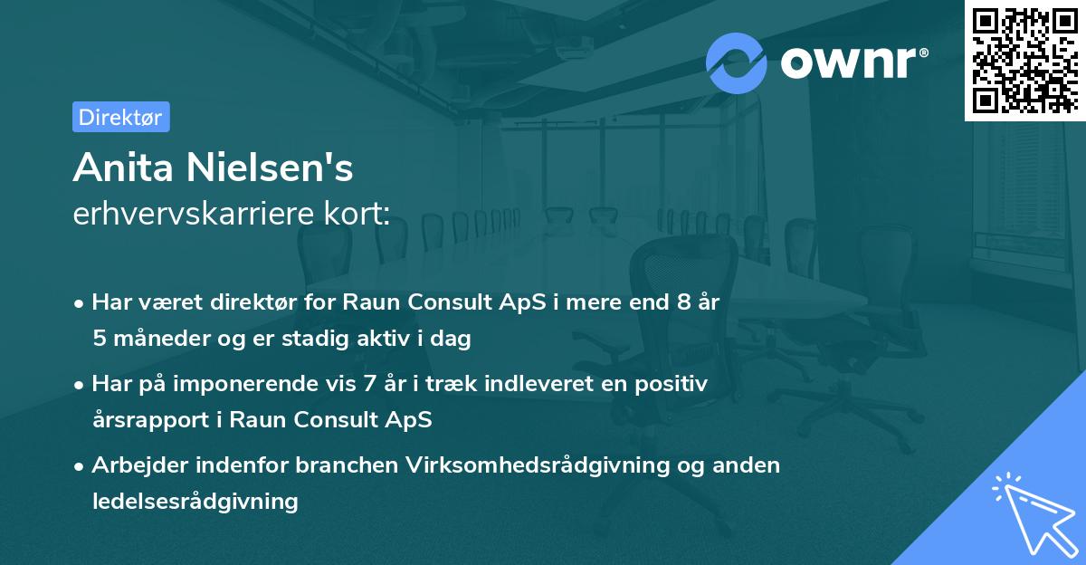 Anita Nielsen's erhvervskarriere kort