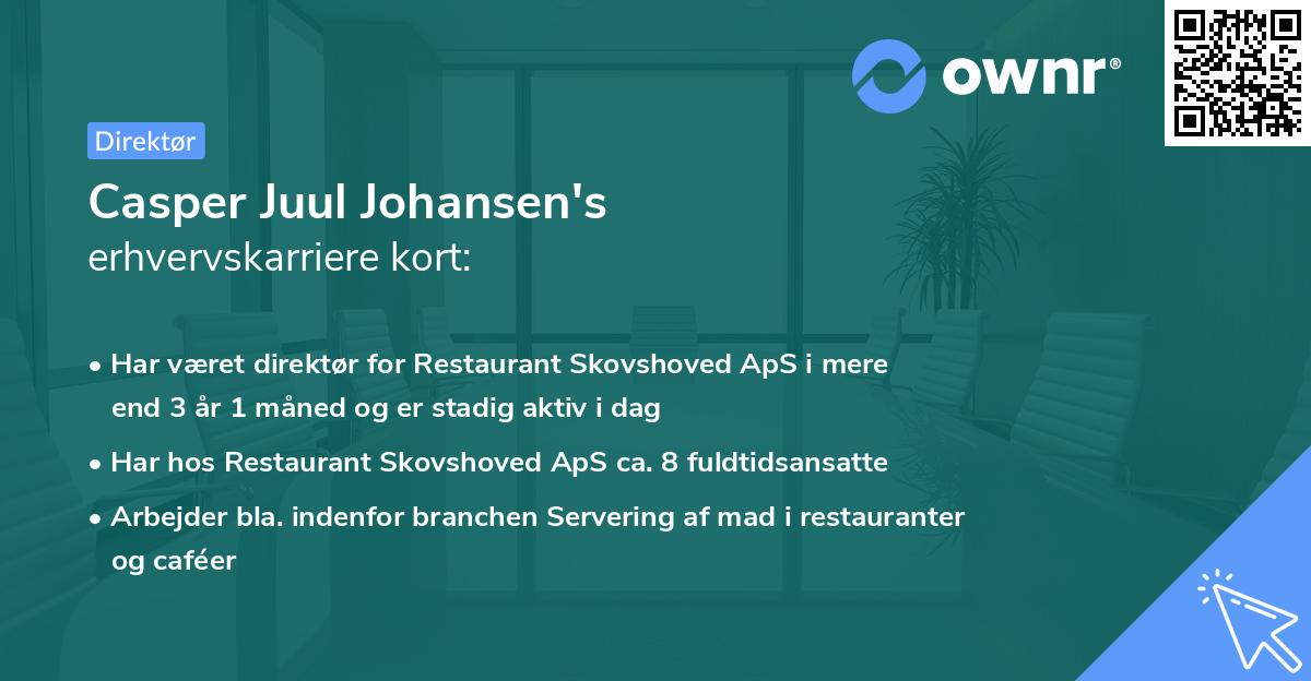 Casper Juul Johansen's erhvervskarriere kort