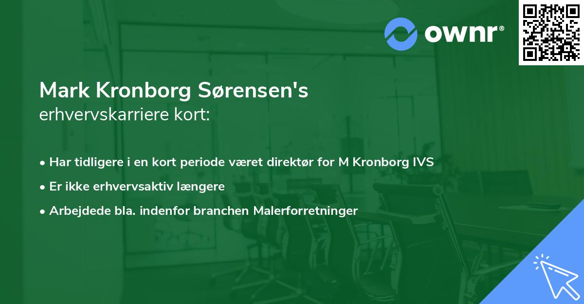 Mark Kronborg Sørensen's erhvervskarriere kort