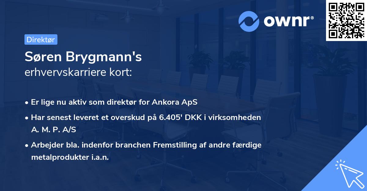 Søren Brygmann's erhvervskarriere kort