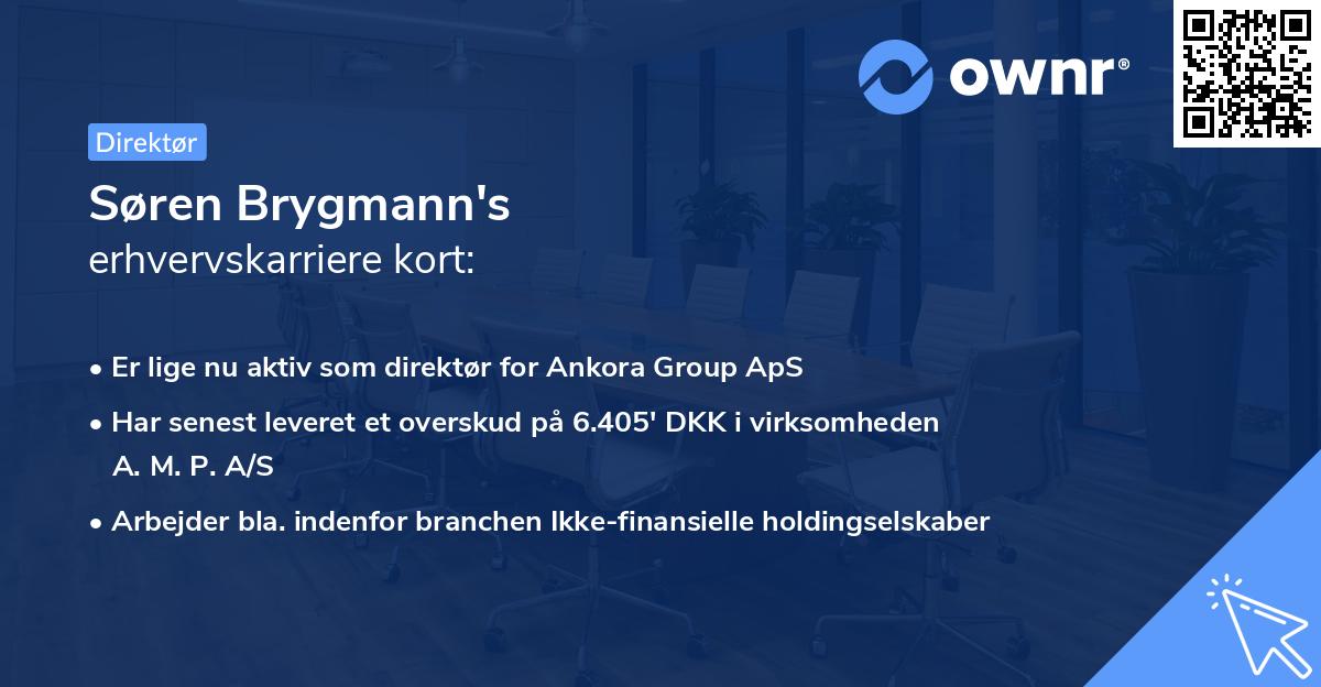 Søren Brygmann's erhvervskarriere kort