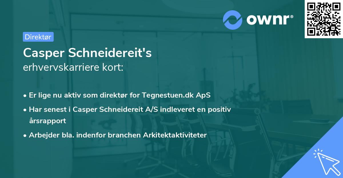 Casper Schneidereit's erhvervskarriere kort
