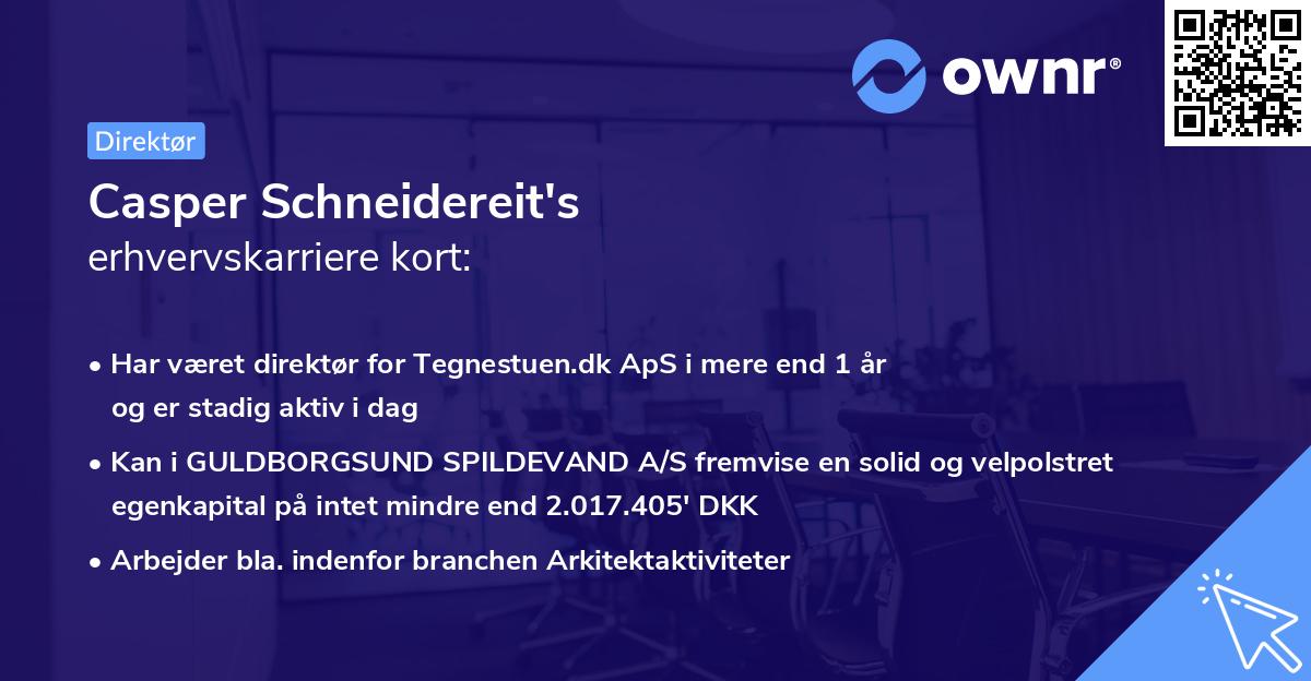 Casper Schneidereit's erhvervskarriere kort