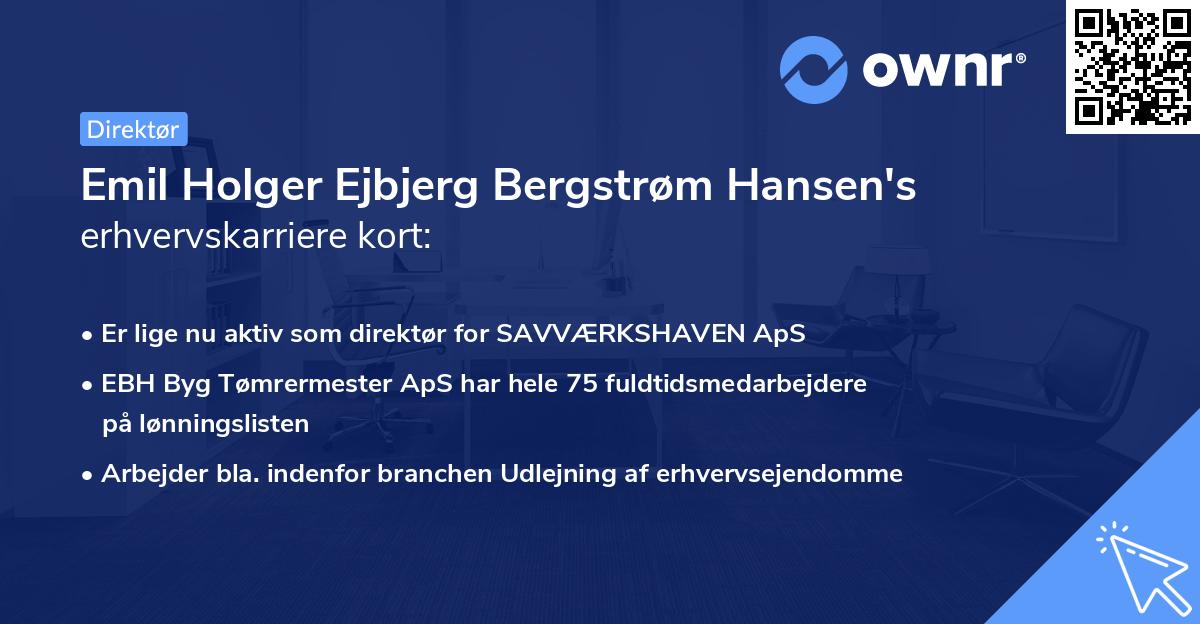 Emil Holger Ejbjerg Bergstrøm Hansen's erhvervskarriere kort