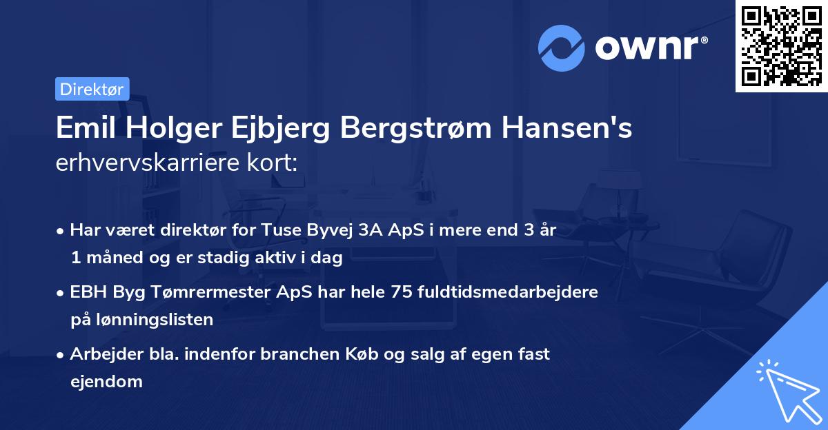 Emil Holger Ejbjerg Bergstrøm Hansen's erhvervskarriere kort