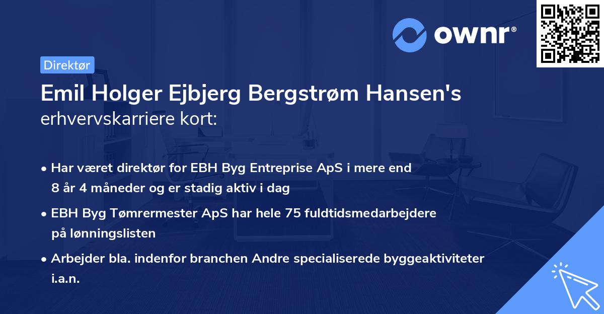 Emil Holger Ejbjerg Bergstrøm Hansen's erhvervskarriere kort
