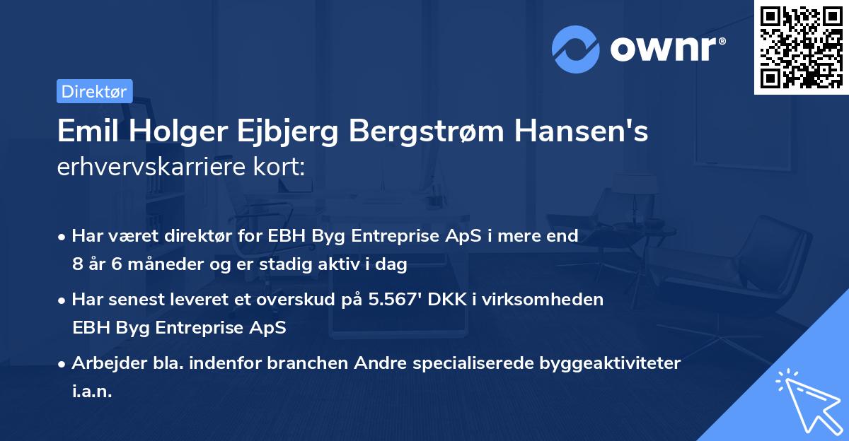Emil Holger Ejbjerg Bergstrøm Hansen's erhvervskarriere kort