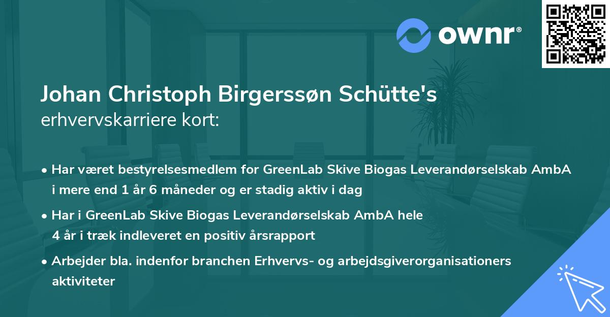 Johan Christoph Birgerssøn Schütte's erhvervskarriere kort
