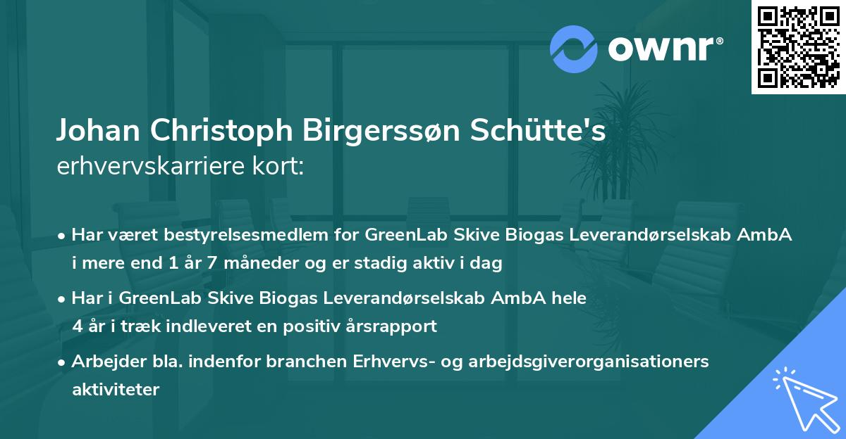 Johan Christoph Birgerssøn Schütte's erhvervskarriere kort