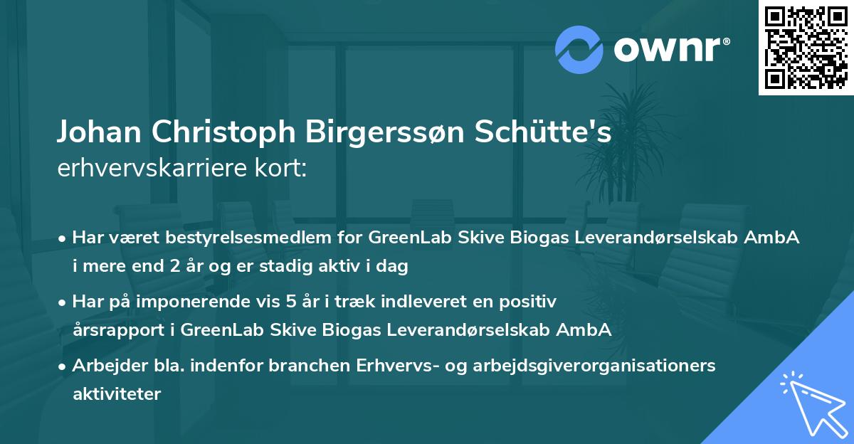 Johan Christoph Birgerssøn Schütte's erhvervskarriere kort