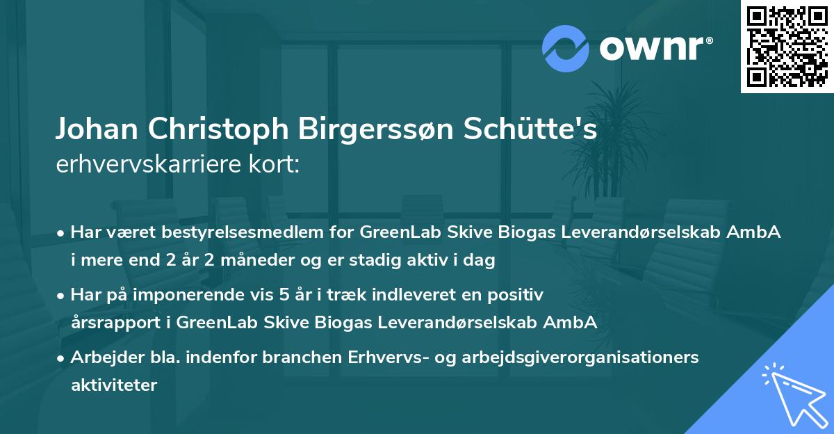 Johan Christoph Birgerssøn Schütte's erhvervskarriere kort