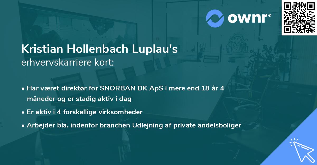 Kristian Hollenbach Luplau's erhvervskarriere kort