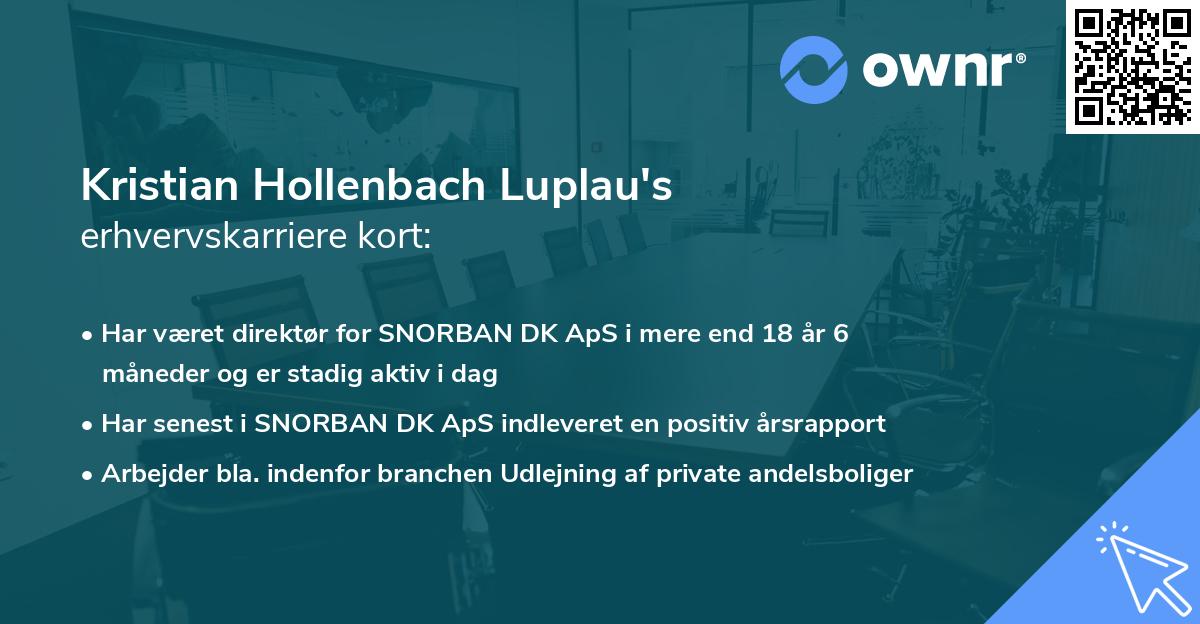 Kristian Hollenbach Luplau's erhvervskarriere kort