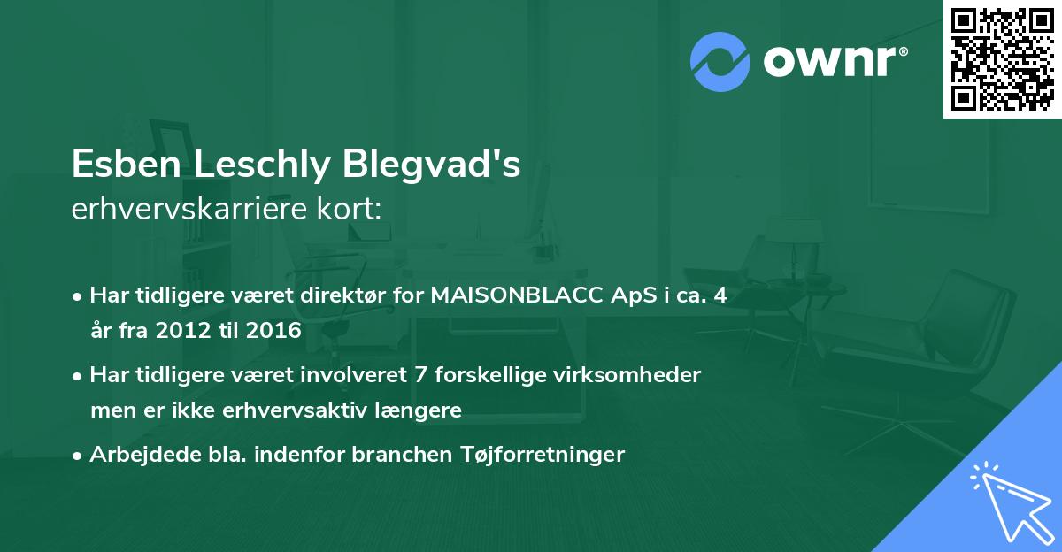 Esben Leschly Blegvad's erhvervskarriere kort