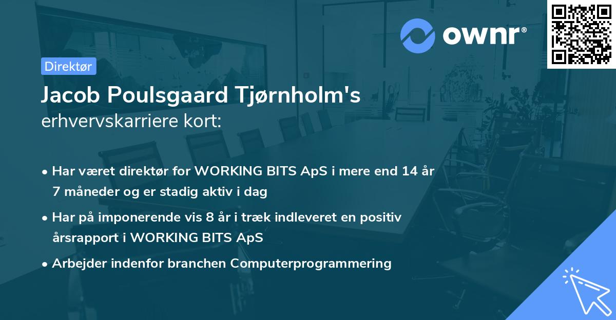 Jacob Poulsgaard Tjørnholm's erhvervskarriere kort