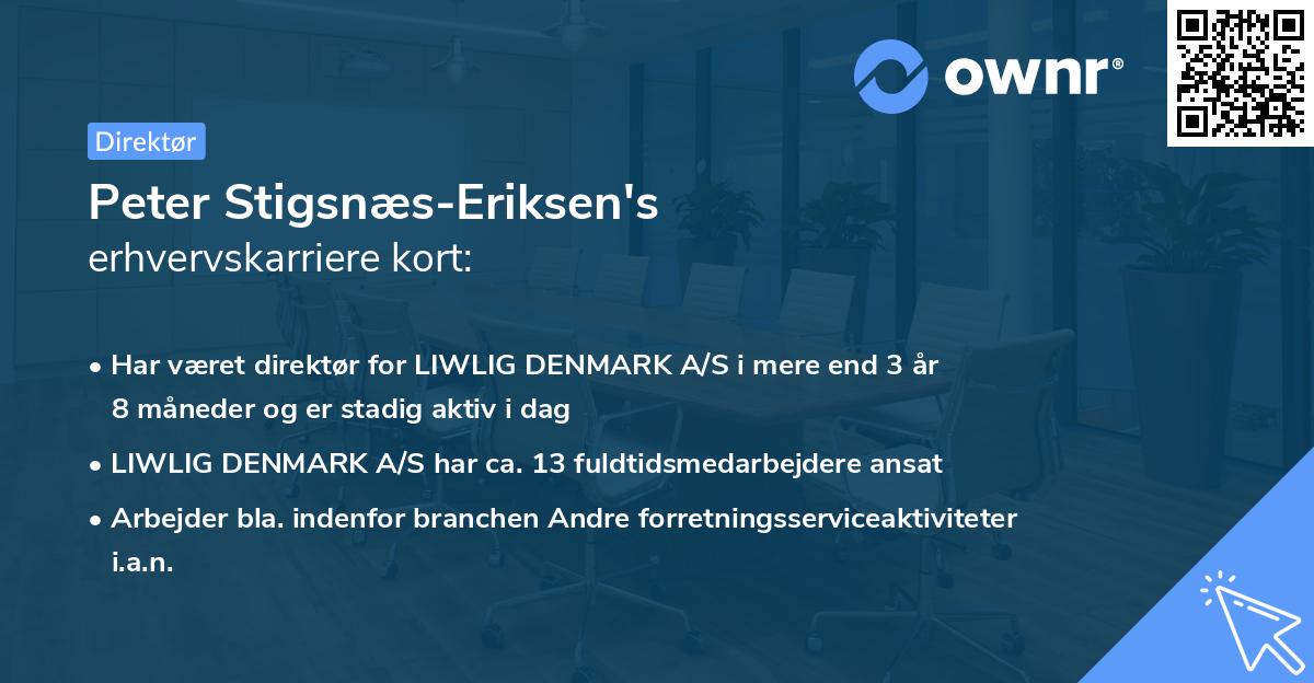 Peter Stigsnæs-Eriksen's erhvervskarriere kort