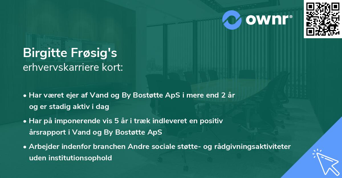 Birgitte Frøsig's erhvervskarriere kort