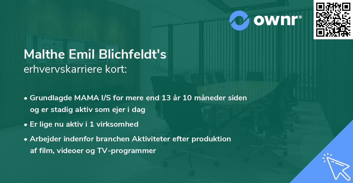 Malthe Emil Blichfeldt's erhvervskarriere kort