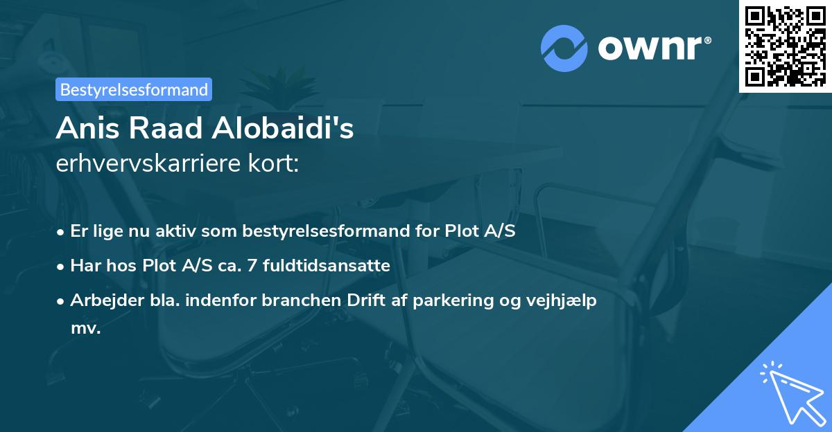 Anis Raad Alobaidi's erhvervskarriere kort