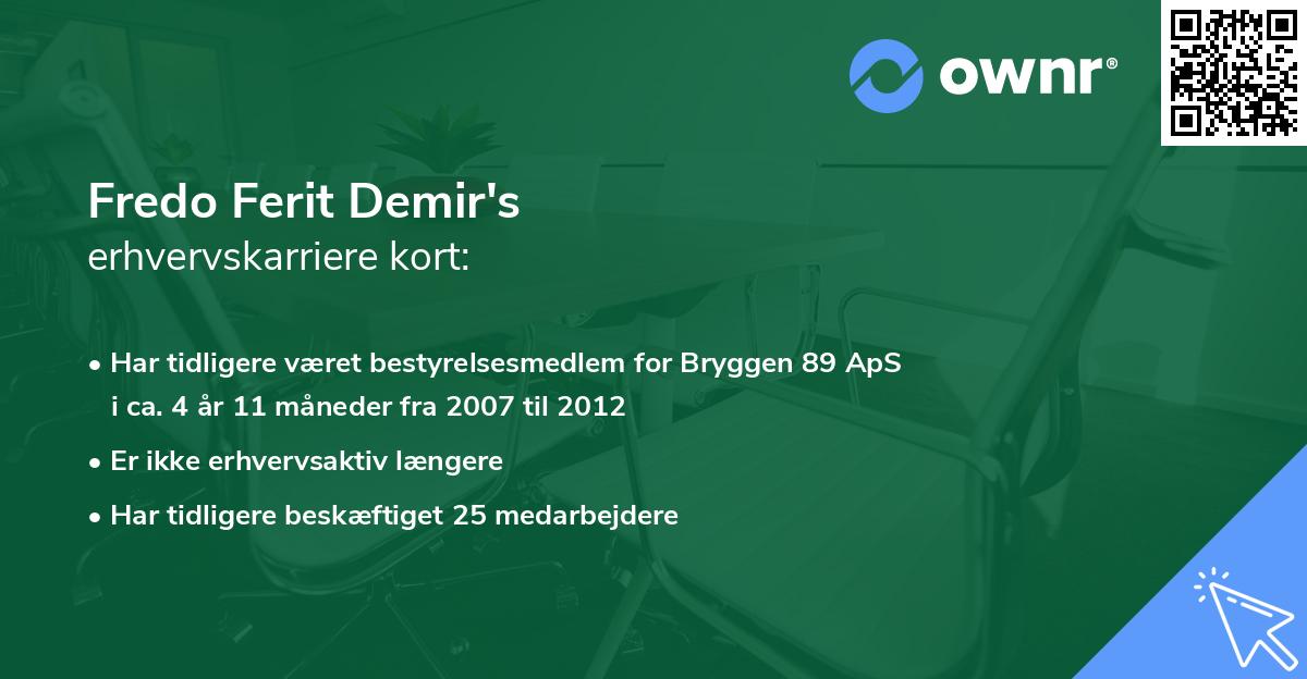 Fredo Ferit Demir's erhvervskarriere kort
