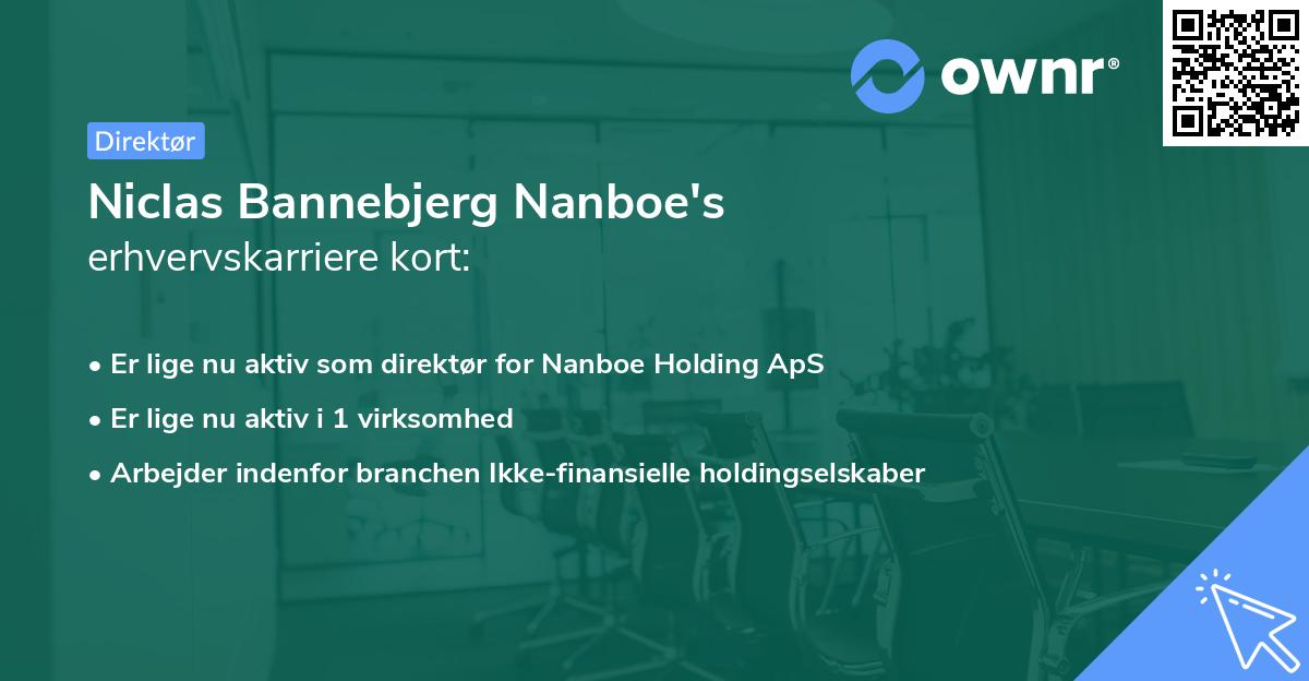 Niclas Bannebjerg Nanboe's erhvervskarriere kort