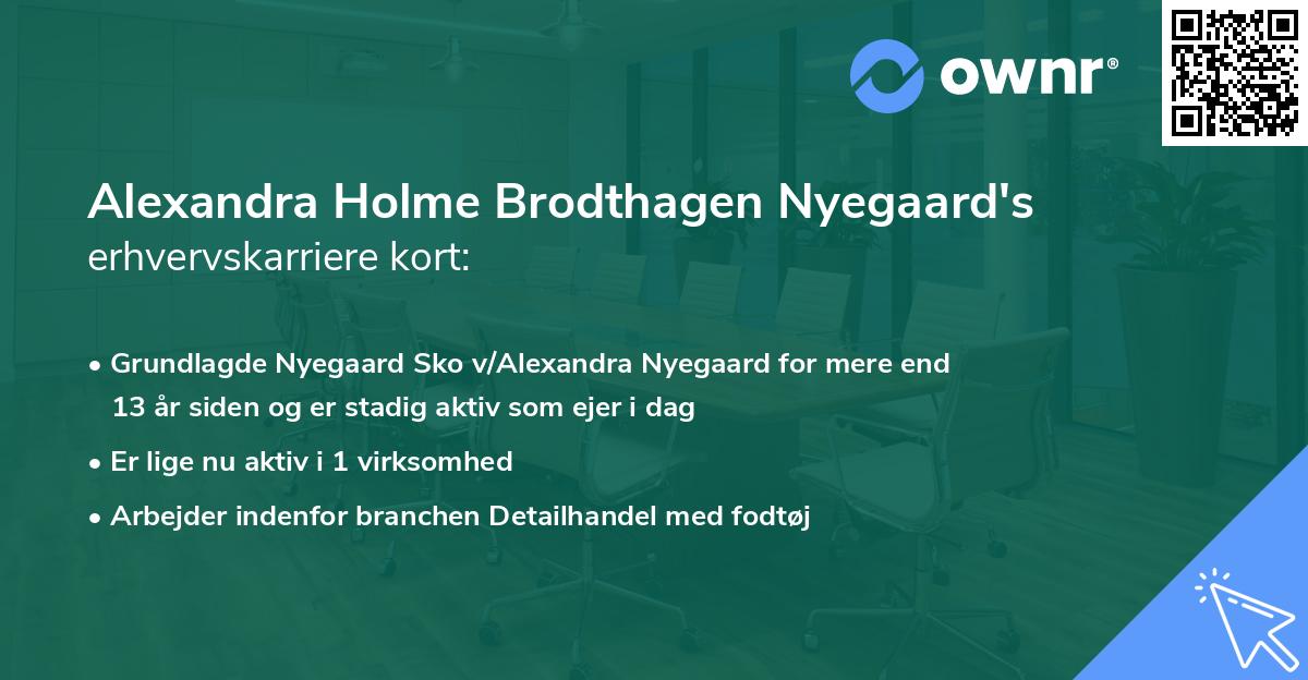 Alexandra Holme Brodthagen Nyegaard's erhvervskarriere kort