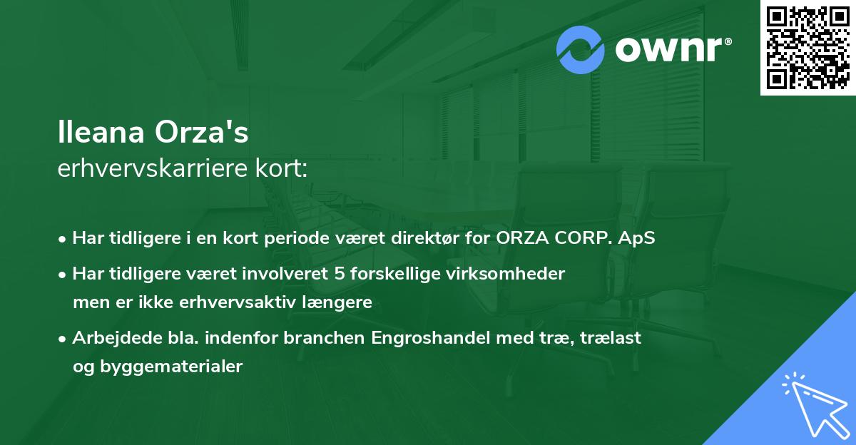 Ileana Orza's erhvervskarriere kort