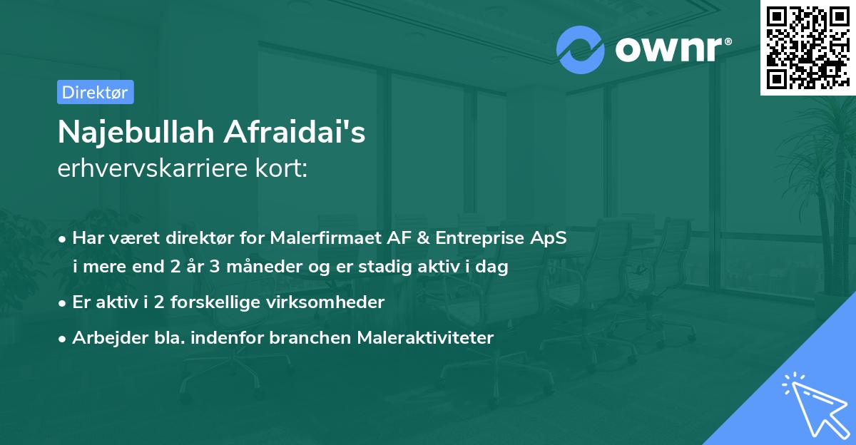 Najebullah Afraidai's erhvervskarriere kort