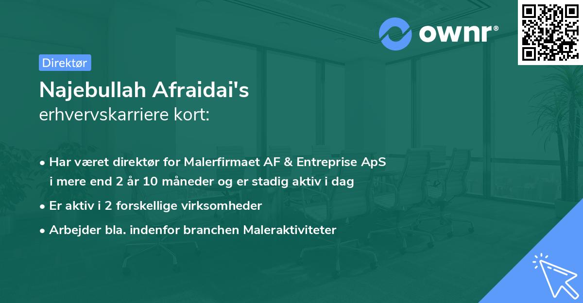Najebullah Afraidai's erhvervskarriere kort