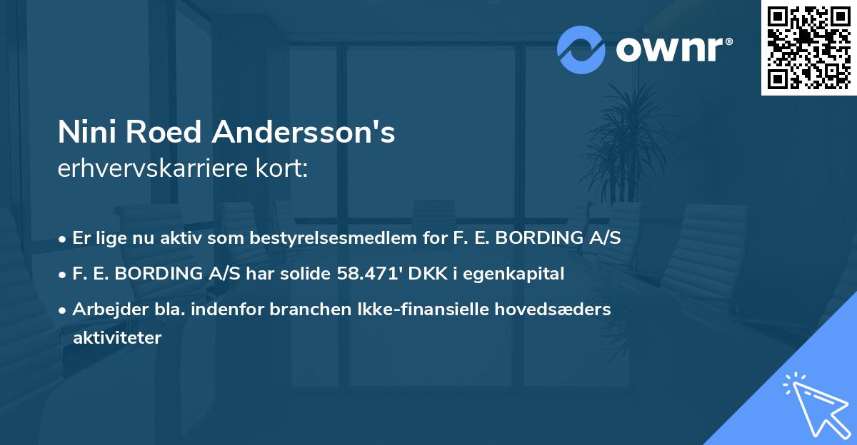 Nini Roed Andersson's erhvervskarriere kort