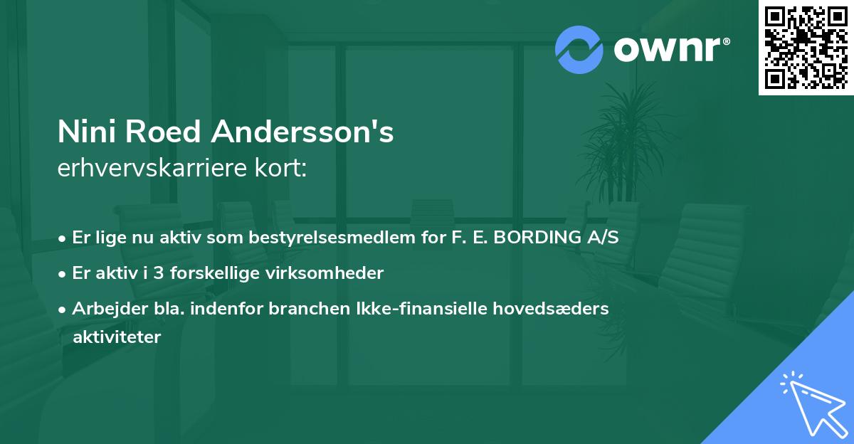Nini Roed Andersson's erhvervskarriere kort