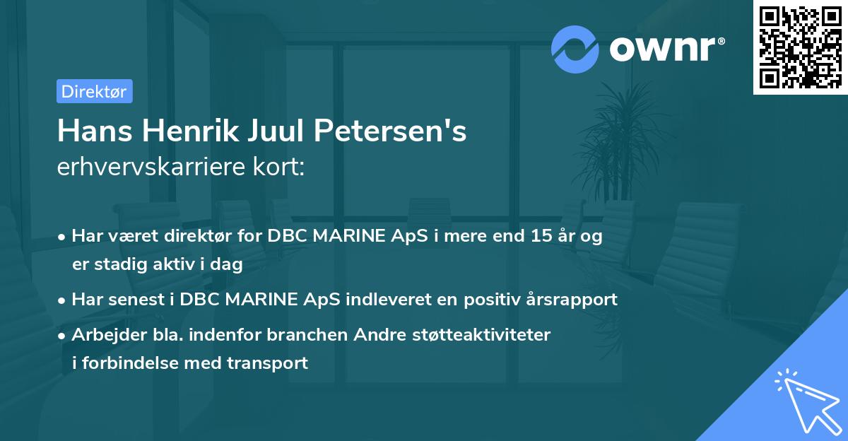 Hans Henrik Juul Petersen's erhvervskarriere kort
